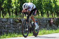 Remco Evenepoel Wereldkampioen tijdrijden Tour warmup 2024 van FreddyFinn thumbnail