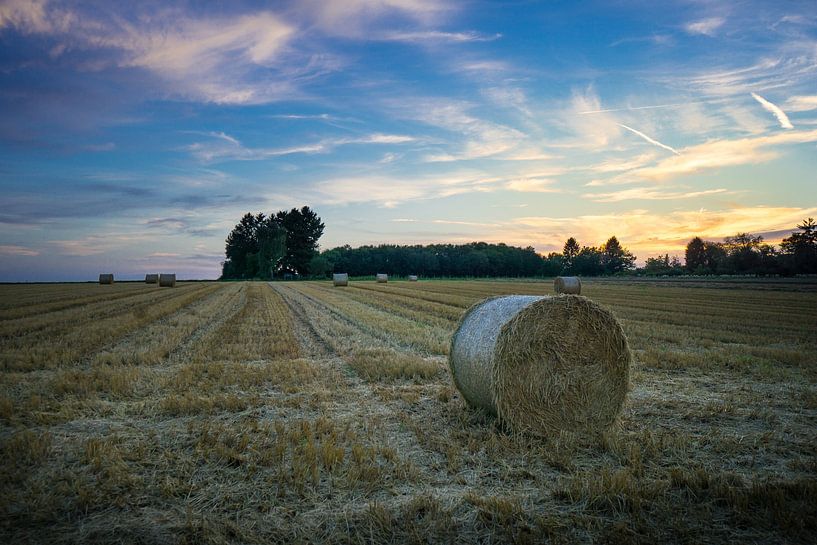 Hay bales on field as sunset in orange colors by adventure-photos