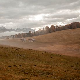 Brouillard sur l'Alpe de Siusi, Dolomites en automne sur Jiri Viehmann