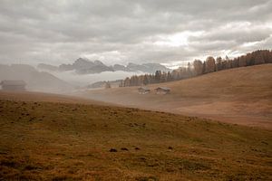 Brouillard sur l'Alpe de Siusi, Dolomites en automne