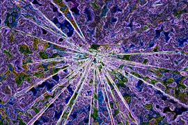 Blauwe ster by Jolanta Mayerberg