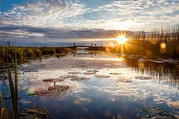 Sonnenuntergang auf dem Wasser