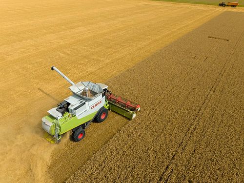 Combine die tarwe oogst in de zomer, van bovenaf gezien