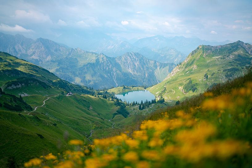 Flowery view from the Zeigersattel to the Seealpsee in Allgäu by Leo Schindzielorz