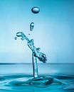 Water drops #4 van Marije Rademaker thumbnail