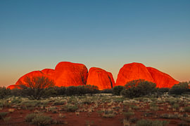 Kata Tjuta bei Sonnenuntergang von Markus Lange