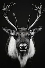 Reindeer by Poster Art Shop