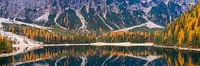 Pragser Wildsee, Dolomiten, Italien von Henk Meijer Photography Miniaturansicht