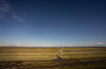 Die Salzwiesen von Groningen im Herbst von Bo Scheeringa Photography