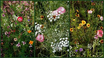 English Cottage Garden Collage 1