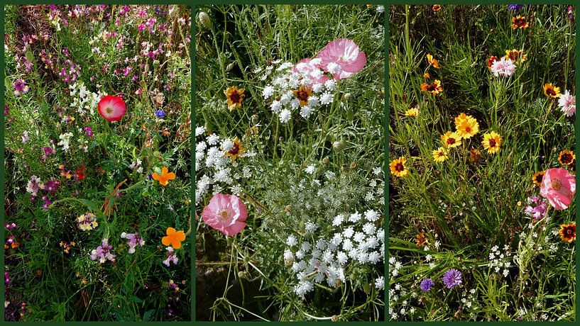 English Cottage Garden Collage 1 by Dorothy Berry-Lound