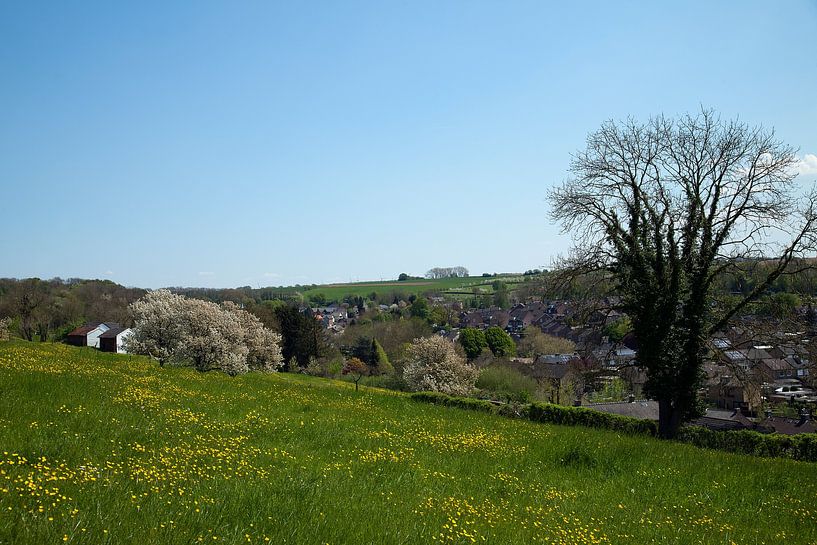 Paysage culturel dans le versant du Limbourg méridional, Pays-Bas. par Marjolein Zijlstra