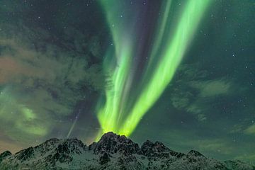 Nordlichter, Aurora Borealis über einem Berggipfel von Sjoerd van der Wal