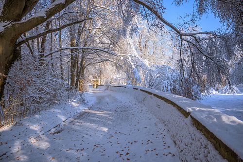 WINTERTIJD : WINTERLANDSCHAP