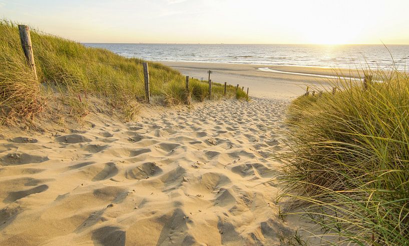 La vie à la plage ! par Dirk van Egmond