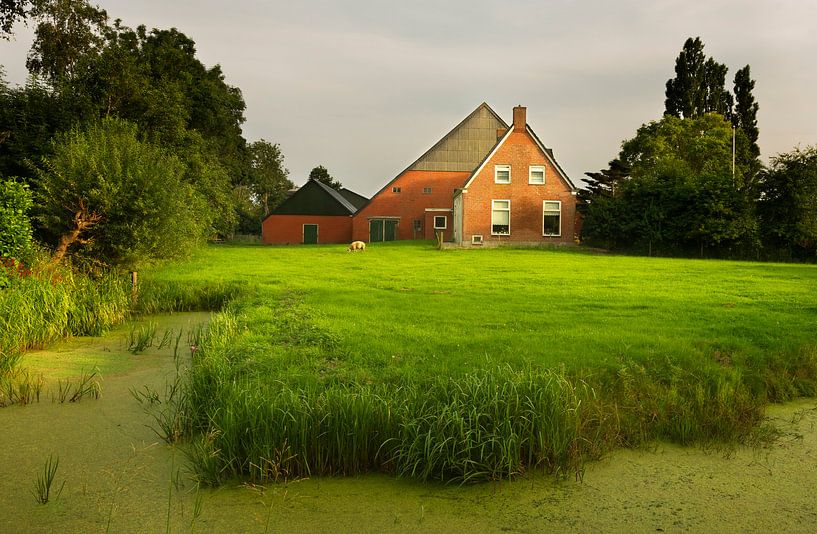 Groningse boerderij  van Bo Scheeringa Photography