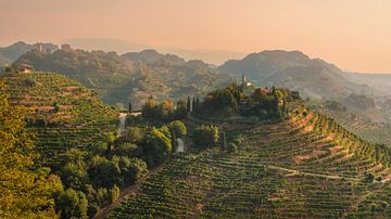 De heuvels van Prosecco met de kerk van San Lorenzo en de torens van Credazzo,