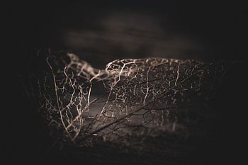 Feine Klinge als Spitze