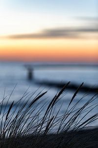 Nordseestrand bei Brouwersdam Zeeland