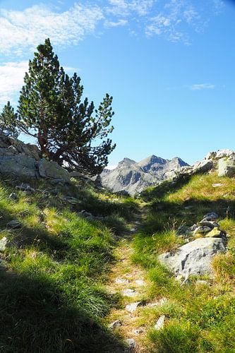 Pyreneeën, wilde Pyreneeën, bergen, wandelen, natuur, wildernis, outdoor, bergen, Frankrijk, Spanje, berglandschap, landschapsfotografie, natuurfotografie, muurschildering bergen, canvas print natuur, fine art print, natuurfoto, avontuur, natuurparadijs, wanderlust, bergwandelen, top, bergpanorama, natuurkunst, bergliefde, vrijheid, wanderlust, berglandschap, wanderlust, fotokunst, outdoor fotografie, Alpengebied