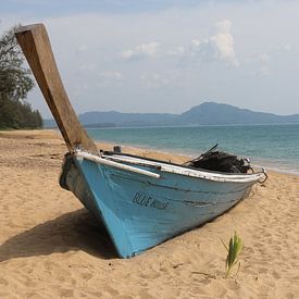 Boot op strand van Mark de Kievith