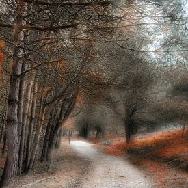 Forêt d'automne de rêve sur Yvonne Smits