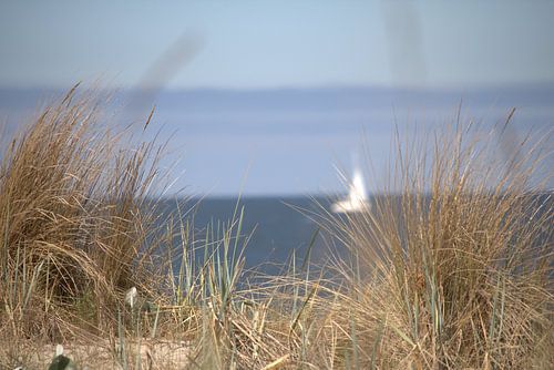 The sailing ship Düne