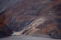 Späte Sonne fällt auf einen Berghang im Nubra-Tal von Affect Fotografie Miniaturansicht
