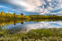 Golden hour Swedish landscape