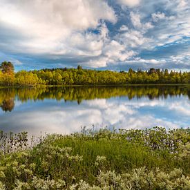 Gouden uur Zweeds landschap van Ate de Vries