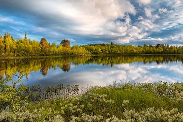 Goldene Stunde Schwedische Landschaft von Ate de Vries