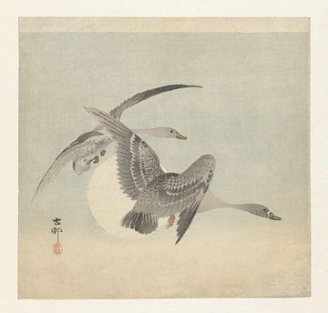 Two geese in flight, Ohara Koson