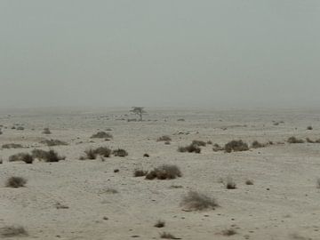 'Sinaï woestijn', Egypte van Martine Joanne