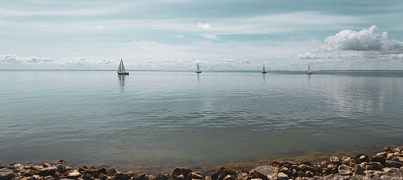Bateaux à voile sur l'IJsselmeer | Hollande du Nord par Marianne Twijnstra