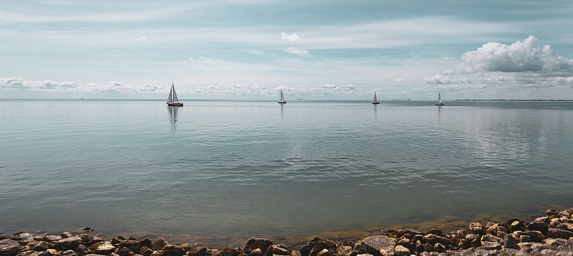 Segelboote auf dem IJsselmeer | Nordholland von Marianne Twijnstra