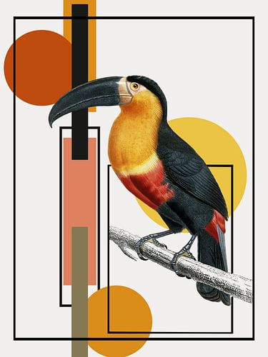 Toucan Art by Marja van den Hurk