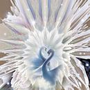 Blauwe Zwanen van Nina IoKa thumbnail