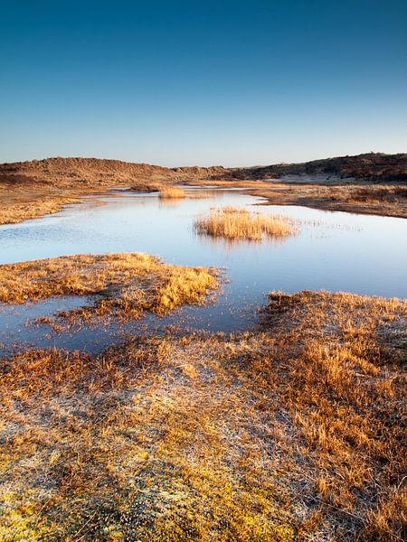 Bevroren Duinen par David Hanlon