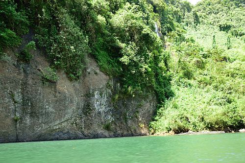 The water turns green