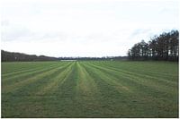 Weiland in mooi Drenthe