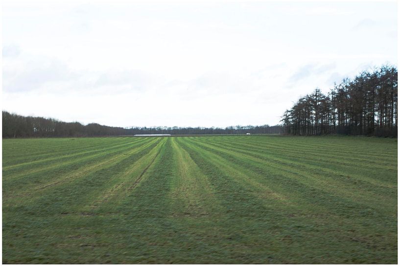 Weiland in mooi Drenthe van Anuska Klaverdijk