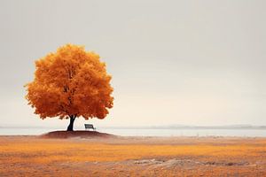 Ästhetischer Minimalismus