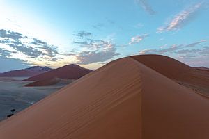 Düne 45 bei Sonnenaufgang von Jeroen de Weerd