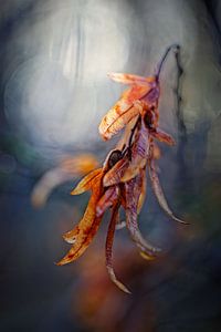 Herbstfarben