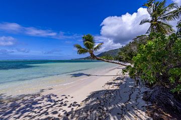 Seychelles by Dennis Eckert
