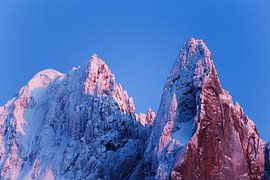 The Verte in Pink by Jc Poirot