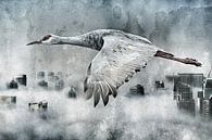 Transcend by Gitta Reiszner thumbnail