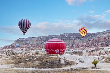 Hot air balloon in Red Valley