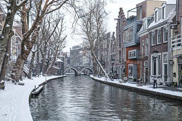 Een winterse plaat van de besneeuwde Twijnstraat a/d Werf in Utrecht, NL