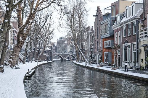 Een winterse plaat van de besneeuwde Twijnstraat a/d Werf in Utrecht, NL sur Arthur Puls Photography